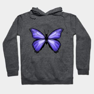 Blue Butterfly Drawing Hoodie